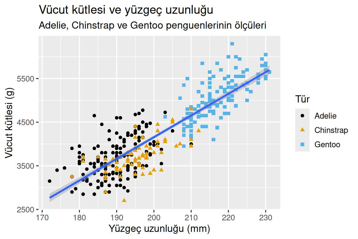 Penguenlerin vücut kütlesine karşı yüzgeç uzunluğunun saçılım grafiği; bu iki değişken arasındaki ilişkiye ait en iyi uyum çizgisi üzerine bindirilmiştir. Grafik, bu iki değişken arasında pozitif, oldukça doğrusal ve nispeten güçlü bir ilişki göstermektedir. Türler (Adelie, Chinstrap ve Gentoo) farklı renk ve şekillerle temsil edilmiştir. Vücut kütlesi ile yüzgeç uzunluğu arasındaki ilişki bu üç tür için kabaca aynıdır ve Gentoo penguenleri diğer iki türden daha büyüktür.