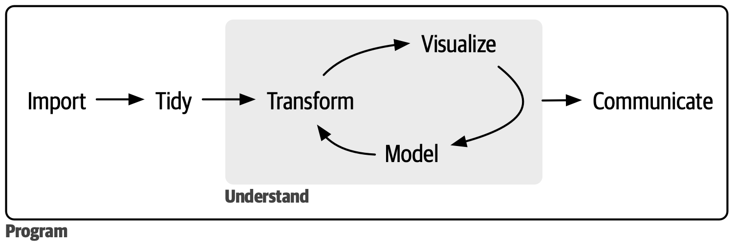 Veri bilimi döngüsünü gösteren bir diyagram. İngilizce etiketlerle Import (İçe aktar) -> Tidy (Düzenle) -> Understand (Anla) -> Communicate (İletişim kur) akışı gösterilir. Understand aşamasında Transform (Dönüştür), Visualize (Görselleştir) ve Model (Modelle) bir döngü oluşturur. Program (Programlama) tüm bu süreci çevreler. 