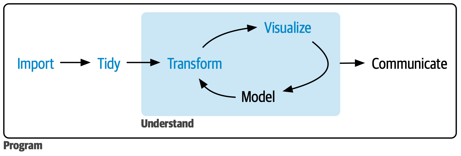 Veri bilimi döngüsünü gösteren bir diyagram. İngilizce etiketlerle Import (İçe aktar) -> Tidy (Düzenle) -> Understand (Anla) -> Communicate (İletişim kur) akışı gösterilir. Understand aşamasında Transform (Dönüştür), Visualize (Görselleştir) ve Model (Modelle) bir döngü oluşturur. Program (Programlama) tüm süreci çevreler. Import, Tidy, Transform ve Visualize etiketleri vurgulanmıştır.