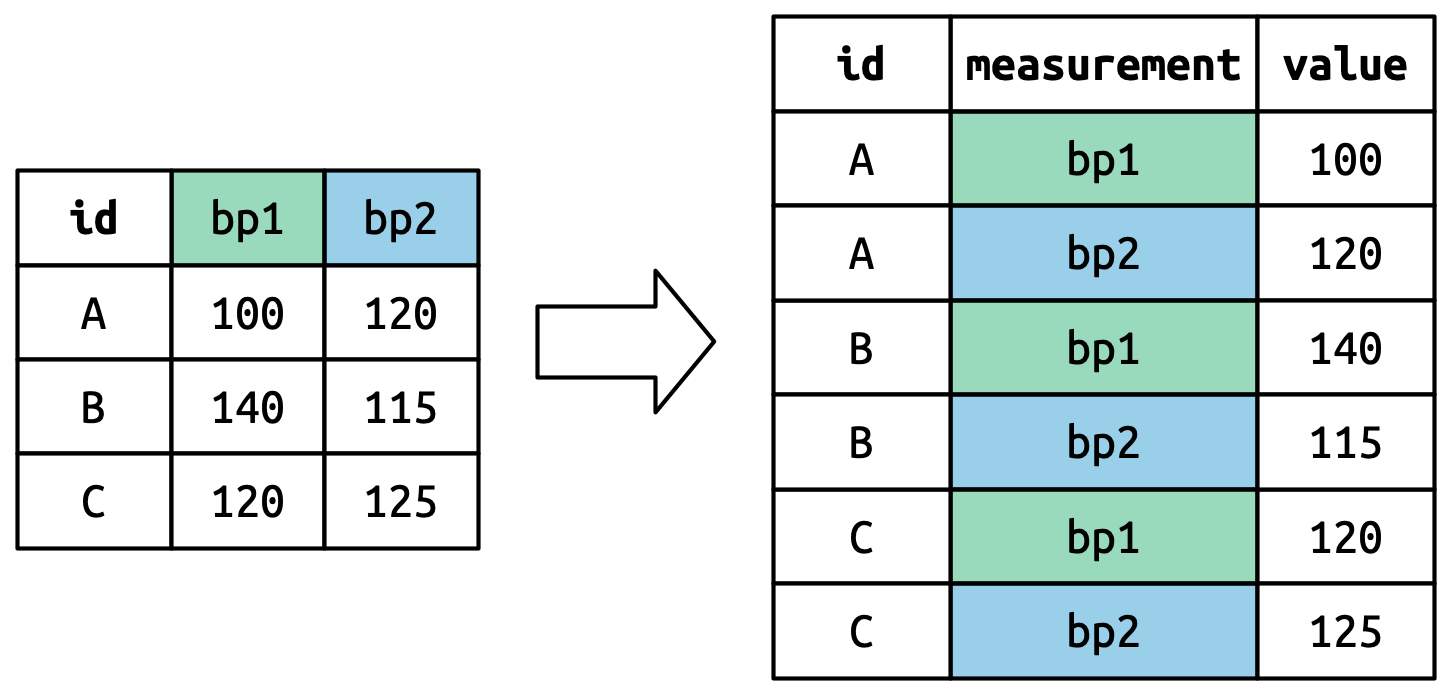 `pivot_longer()`'ın basit bir veri kümesini nasıl dönüştürdüğünü gösteren bir diyagram; sütun adlarının ("bp1" ve "bp2") yeni bir `measurement` sütunundaki değerler haline nasıl geldiğini vurgulamak amacıyla renk kullanılmıştır. Girdide üç satır olduğu için üç kez tekrarlanırlar.